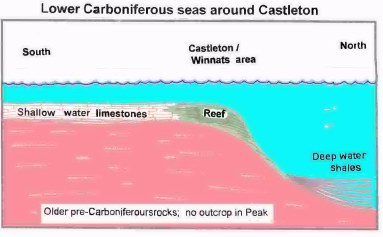 REEF FORMATION -  cross-section through the limestone sea around Castleton  / Winnats Pass