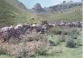 Peter's Stone,  Cressbrook Dale.  A mass of limestone which has slipped downhill