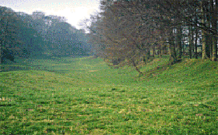 Rhoosdyche, haley Bridge